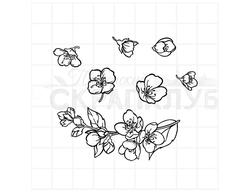 Штамп цветы жасмина