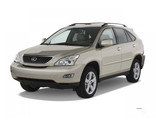 Коврики в салон Lexus RX II 300/330/350/400 (2-й ряд - цельный коврик)