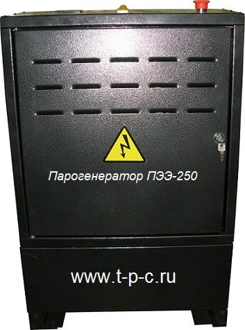 Парогенератор ПЭЭ-250