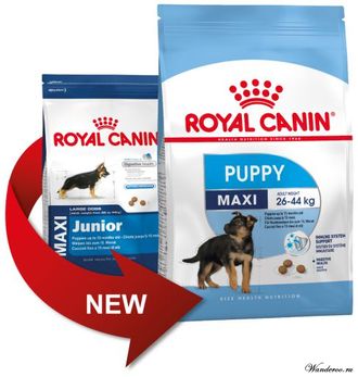 Royal Canin Maxi Puppy Роял Канин Макси Паппи корм для щенков крупных пород в возрасте с 2 до 15 месяцев,  3 кг