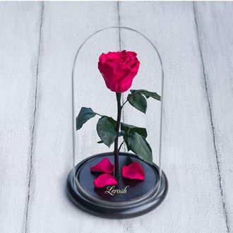 Стабилизированная роза в колбе Lerosh - Mini 27 см, Малиновая