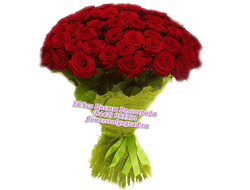 45 роз красных букет