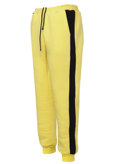 Теплые спортивные брюки Ultima большого размера (арт: 307-L-92)
