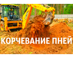 Мы расчистим ваш участок в Воронеже и пригороде от травы и деревьев на совесть