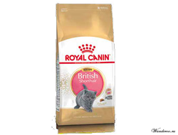 Royal Canin British Shorthair Kitten Роял Канин Киттен Бритиш Шортхэйр Корм для котят породы британская короткошерстная 0,4 кг