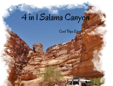 4 in 1 - Salama Canyon + Three pools + camel ride + Dahab from Sharm El Sheikh