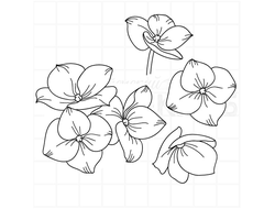 штамп цветы гортензии