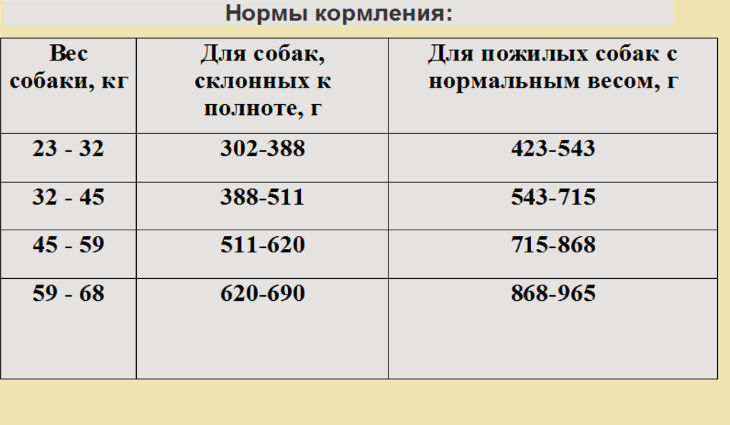 Диета Для Пожилой Собаки