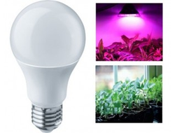 Лампа Jazzway для растений A60 E27 9W 10мкм/с матовая IP20 60x112 .5002395