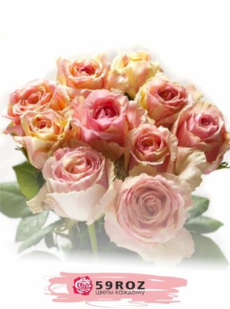 Букет № 77  11 элитных роз 50 см. цвет ФИЕСТА
