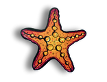 Морская звезда  - Брошь/ значок - 101