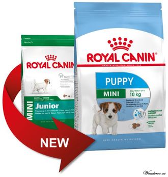 Royal Canin Mini Puppy Роял Канин Мини Паппи корм щенков мини пород в возрасте от 2 до 10 месяцев,  0,8 кг