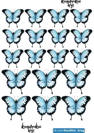 Бабочки - 28
