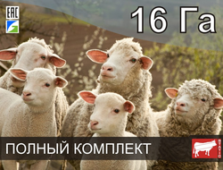 Электропастух СТАТИК-3М для овец и ягнят на 16 Га - Удержит даже самого наглого барана!