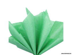 Бумага тишью 76х50 см 10 листов Светло-зелёный