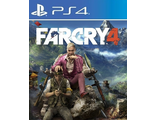 Far Cry 4 (цифр версия PS4) RUS