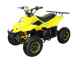 Купить Квадроцикл ATV Classic 6Е 600W