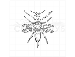Штамп для скрапбукинга части насекомого