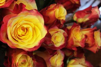 Хот меренге, Ч/Г. Хот меренге, Ч/Г.