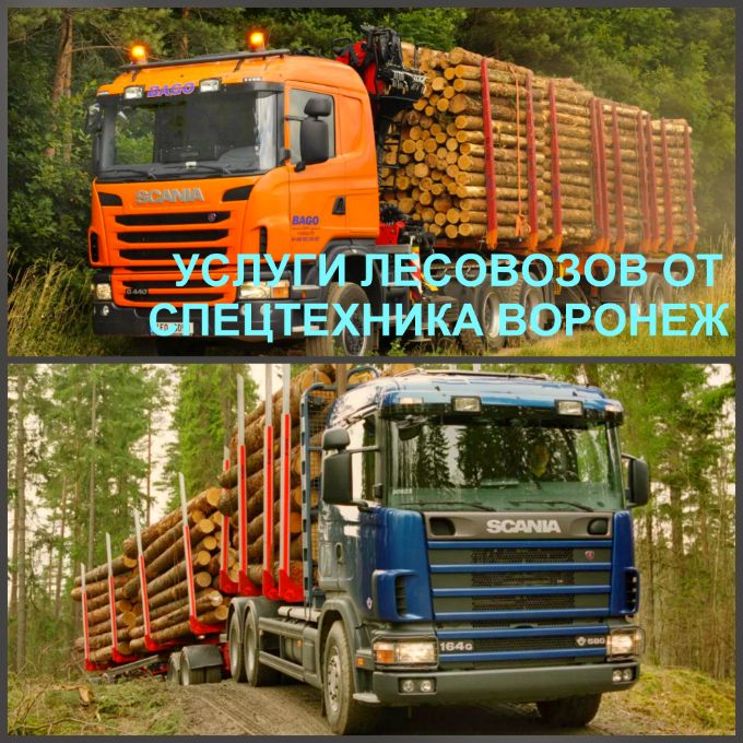 Услуги лесовоза в Воронеже по выгодной цене, лесовозы Урал на лучших условиях, большой выбор.
