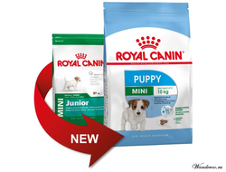 Royal Canin Mini Puppy Роял Канин Мини Паппи корм щенков мини пород в возрасте от 2 до 10 месяцев,  4 кг