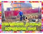 Спиливание деревьев, спил в Воронеже цена, а также прайс на спиливание деревьев разного диаметра. Мы можем спилить дерево, и деревья звоните нам по номеру 89204383198 и 2222801. Наши цены на спил, спиливание деревьев.