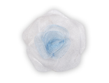 Нарцисс бело-голубой, 5*5 см.