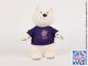Мишка Сочи 2014 Олимпийский (купить медведя-талисмана Олимпиады Sochi 2014 25 см в простой футболке)