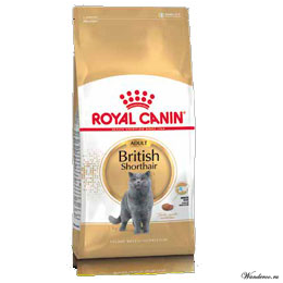 Royal Canin British Shorthair Adult Роял Канин Бритиш Шортхэйр Эдалт Корм для кошек породы британская короткошерстная 0,4 кг