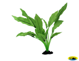81002-30 Растение шелк. Эхинодорус Селовиантус 30см.