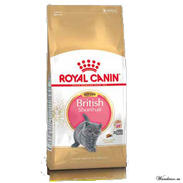 Royal Canin British Shorthair Kitten Роял Канин Киттен Бритиш Шортхэйр Корм для котят породы британская короткошерстная 2 кг