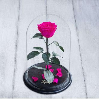 Стабилизированная роза в колбе Lerosh - Premium 33 см, Ярко Розовая