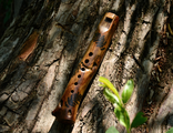 Forest flute in F