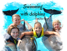 Dolphinarium - swimming with dolphins (30 min) in Sharm El Sheikh
