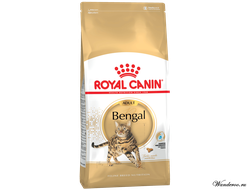 Royal Canin Bengal Роял Канин Бенгал Эдалт Корм для взрослых Бенгальских кошек 0,4 кг