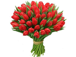 Тюльпаны Красные в букете Алые Паруса