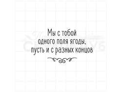 Мы с тобой одного поля ягоды, пусть и с разных концов