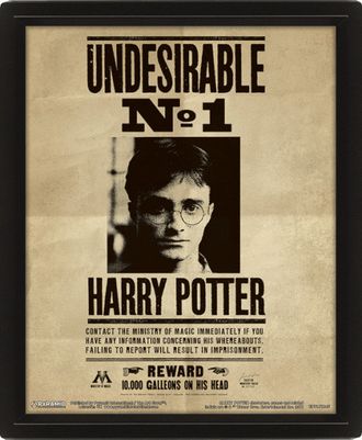 Постер 3D Pyramid: Harry Potter (Potter / Sirius)