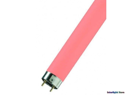Цветные лампы Т5/Т8 Розовые