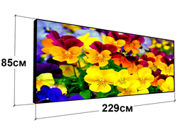 Полноцветные экраны VIDEO 229 см х 85 см