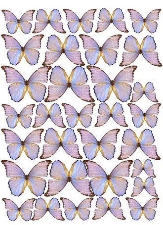 Бабочки - 30