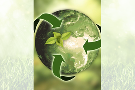 экологическая отчетность