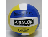 6933010289100	Мяч волейбольный (25546-27), (9 диюм, 230 гр), в пак.