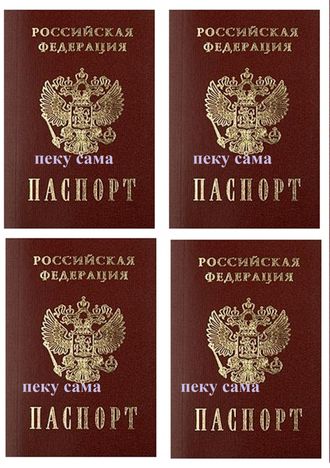 Паспорт 4 шт - 10