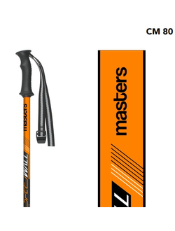 Палки горнолыжные MASTERS SPEEDWALL JR 80 см
