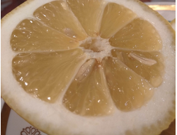Сок лимона прямого отжима 100% | ферма СытникЪ