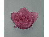 Роза средняя пепельно-розовая, 7,5*9 см.