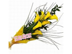 Букет Золотое сердце (Калла желтая)