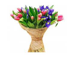 Розовые Тюльпаны с синим Ирисом