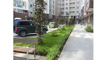 Озеленение жилого комплекса "Посейдон" в Сочи 